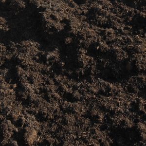 Meet your Posher, Travis